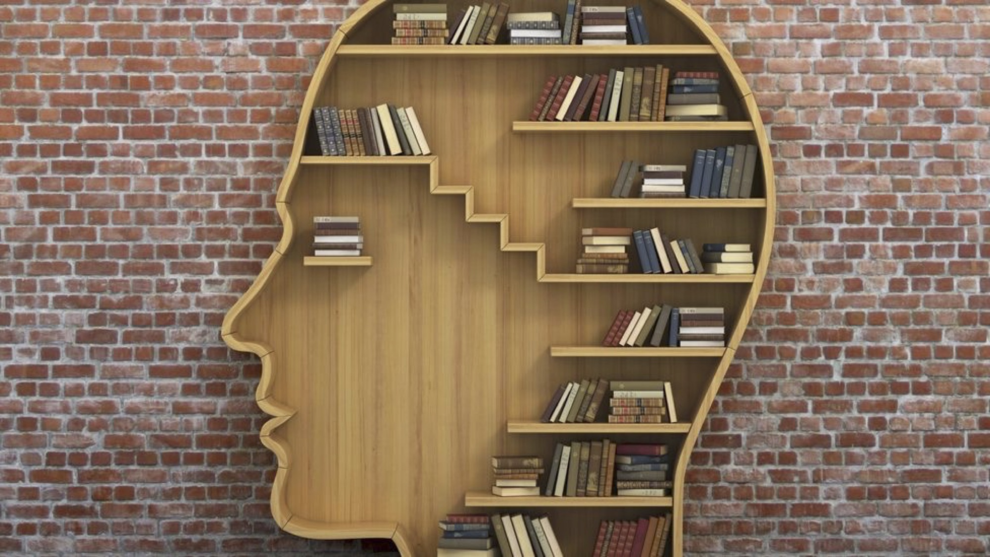 Books Mindset Brain